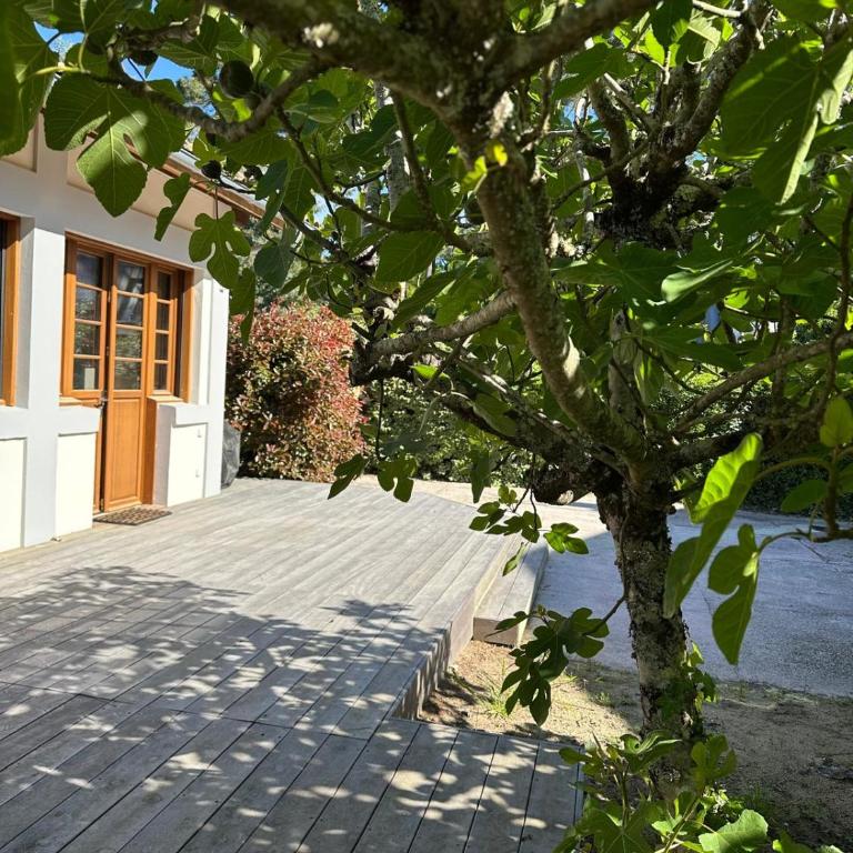Le Refuge du Pyla - Maison 4 Chambres - 12
