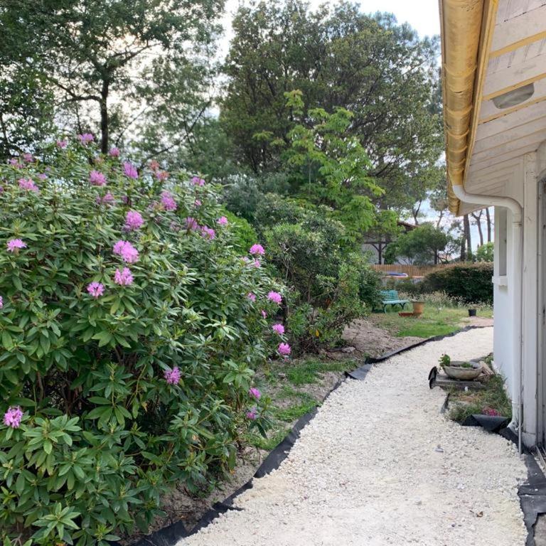 Villa Graine des pins, 14 personnes, proche Océan - Maison 6 Chambres - 8