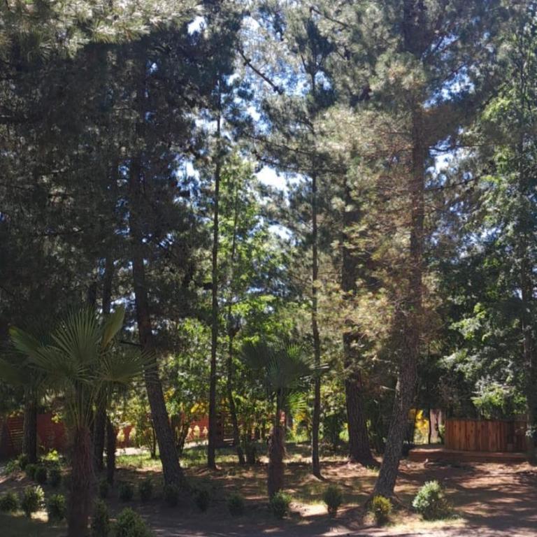 Cabañas Torres Del Bosque - Three-Bedroom Apartment - 27