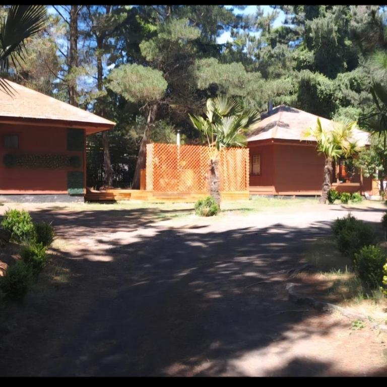 Cabañas Torres Del Bosque - Three-Bedroom Apartment - 25