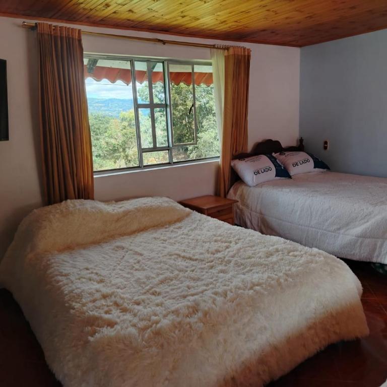 alojamiento rural prados de piedra pintada - Deluxe Family Room - 2