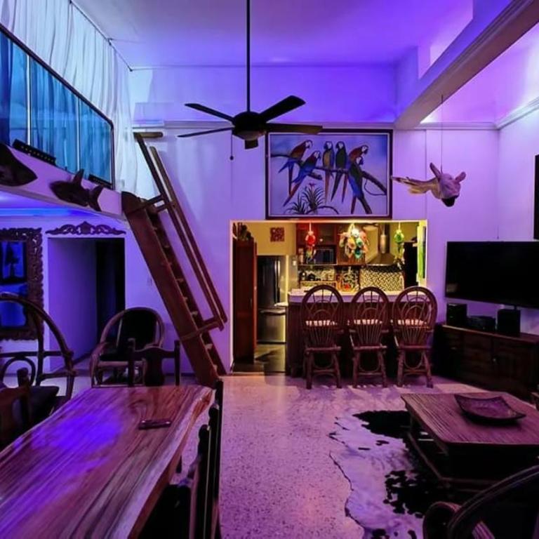 Mega penthouse - Apartment - 1