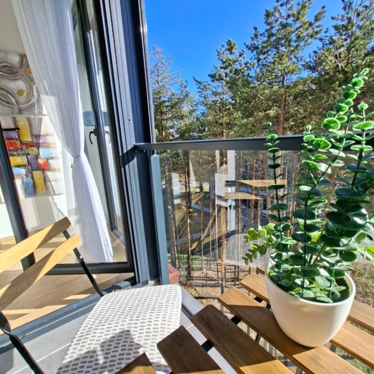 Apartman PANORAMA Green Hills Divčibare - Apartman sa 1 Spavaćom Sobom - 14
