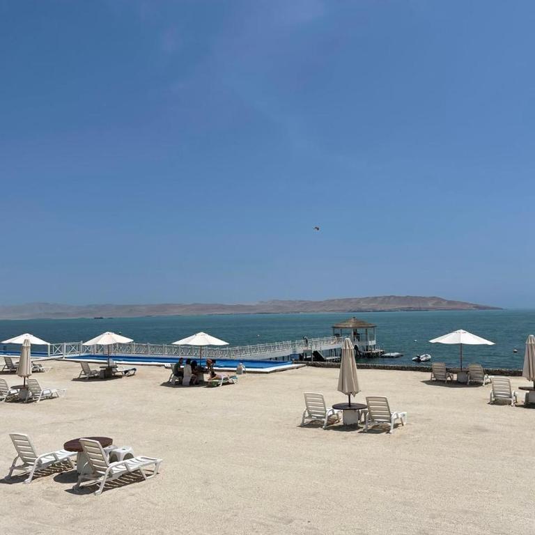 OCEAN VIEW APARTMENT PARACAS SOTAVENTO i - Apartamento con vistas al mar - 10