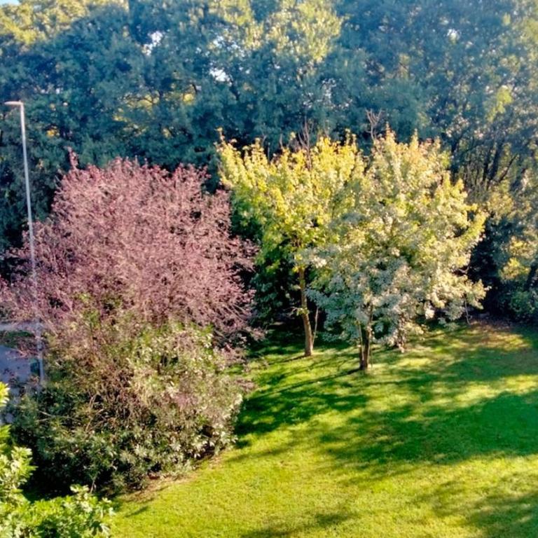 LA CASA DI Marco e Maida - Appartamento Deluxe con 1 Camera da Letto - 16
