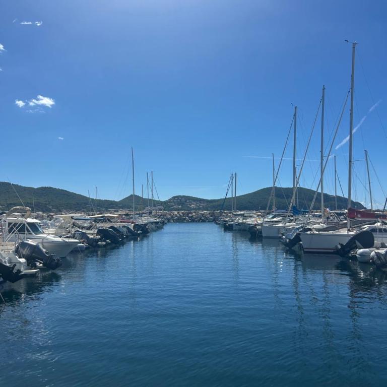 Devant la plage et Vue Mer Parking Clim Internet SEALECQUES - Appartement 2 Chambres - 18