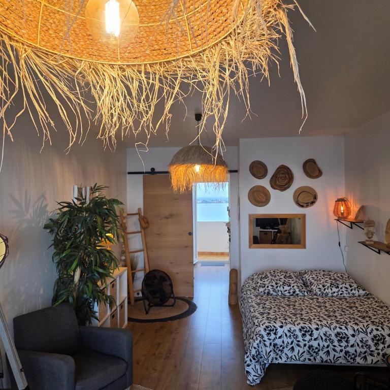 Studio plein sud le ciel le soleil et la mer - Appartement 1 Chambre - 5