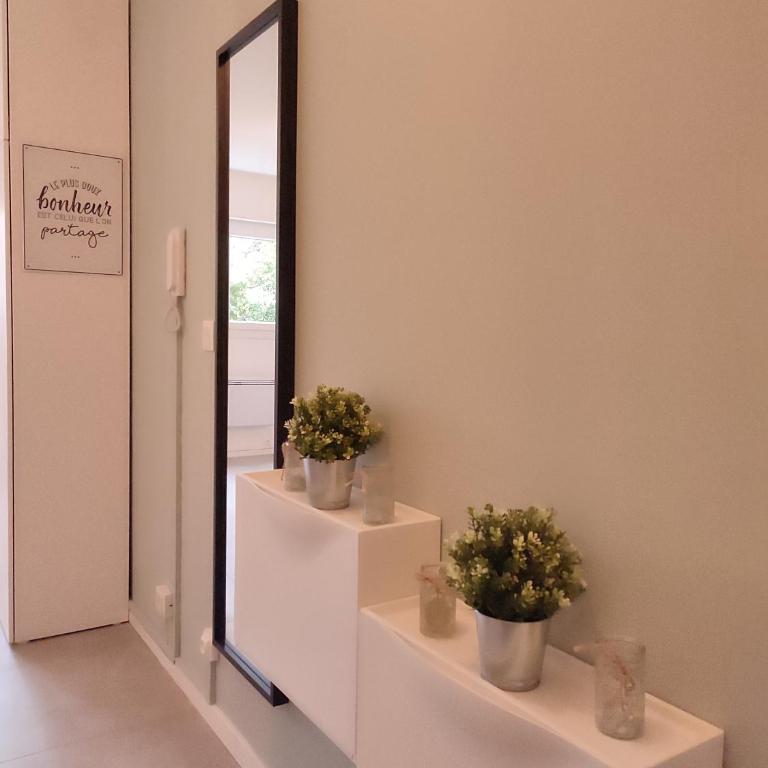 Studio Cosy, résidence sécurisée, parking privé - Appartement 1 Chambre - 6