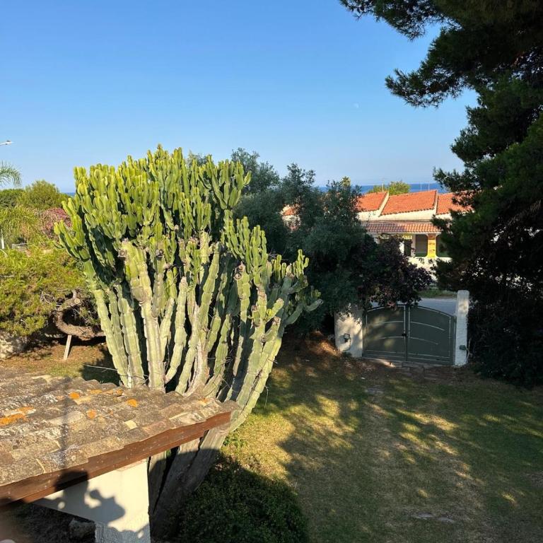 Casa nel verde a fontane bianche - Casa con 2 Camere da Letto - 14