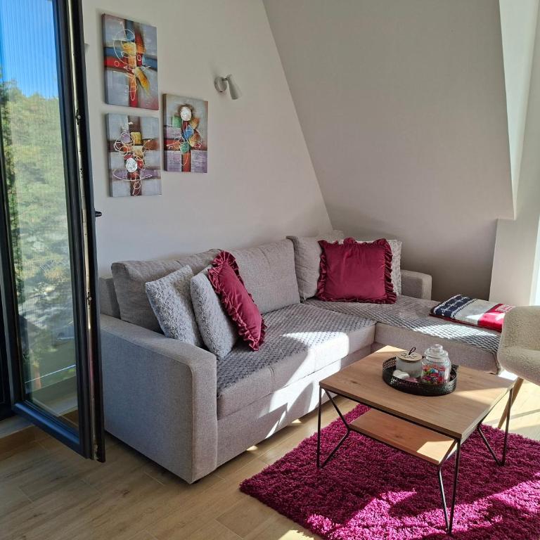 Apartman PANORAMA Green Hills Divčibare - Apartman sa 1 Spavaćom Sobom - 3