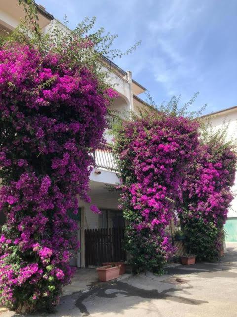 Borgo degli Ulivi - Penthouse-Apartment - 1