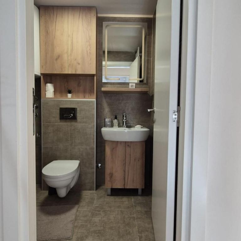 Apartman Forest Rest Divčibare - Apartman sa 1 Spavaćom Sobom - 5
