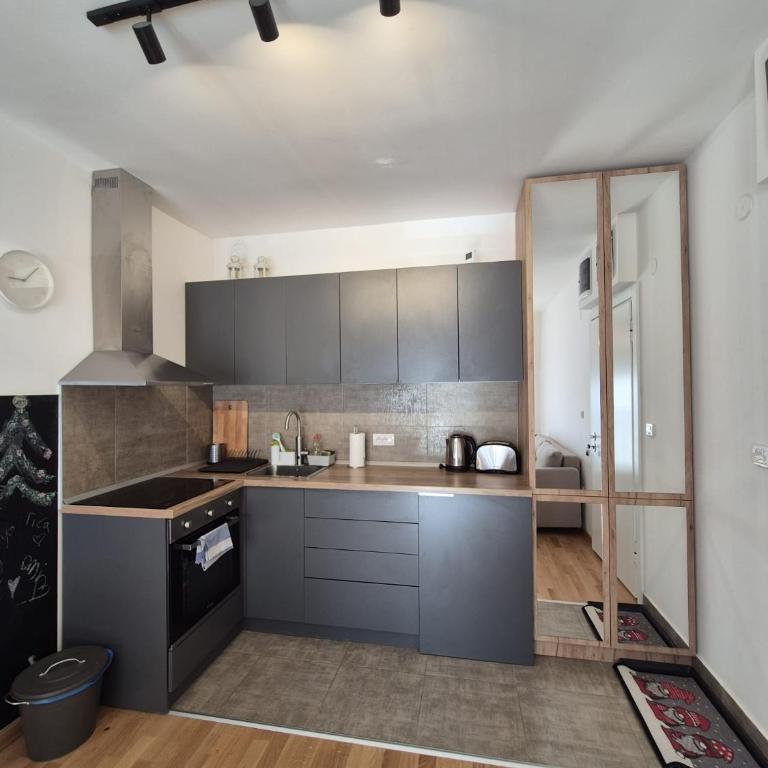 Apartman Forest Rest Divčibare - Apartman sa 1 Spavaćom Sobom - 3