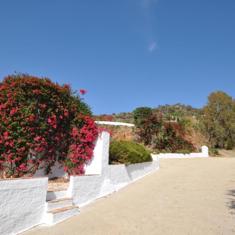 Cortijo J&S Juan Salvador - Casa de 6 dormitorios - 4