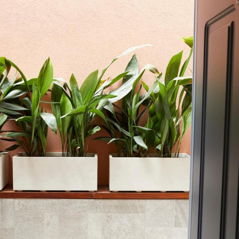 Terrace in the heart of Milan - Appartamento con 1 Camera da Letto - 11