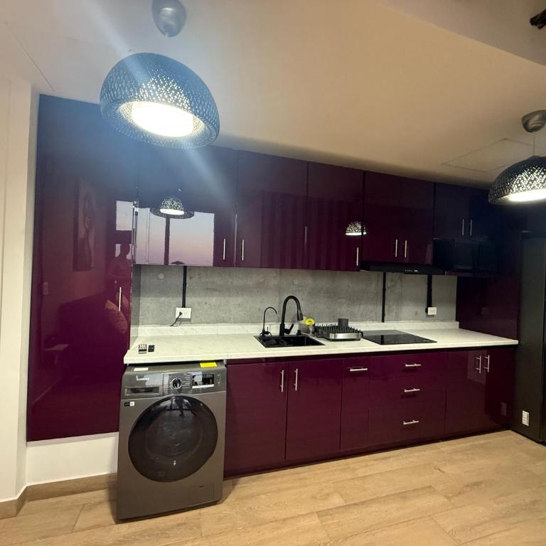 Departamento Centro de Monterrey junto Paseo Santa Lucia y Macroplaza - Two-Bedroom Apartment - 10