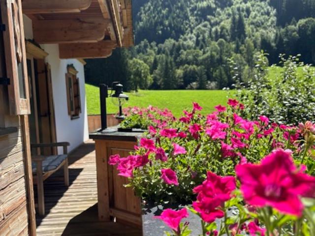 die Floite - Ferienwohnung - Ginzling - Apartment mit 2 Schlafzimmern und Bergblick - 11