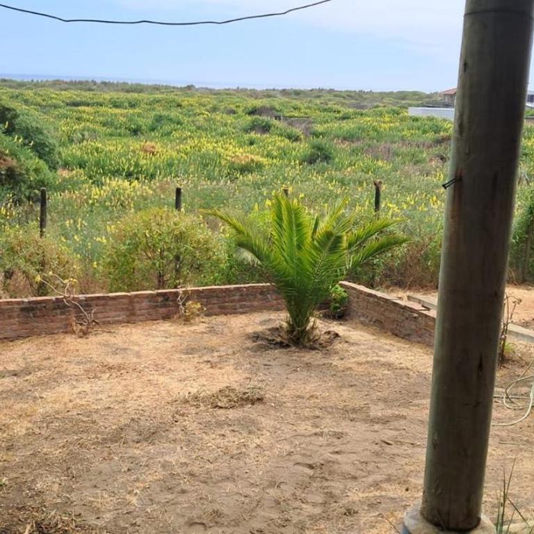 Casa en Cahuil - Vacation Home - 7
