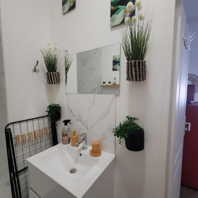 Le plein centre rez de chaussee au cœur de Calais - Appartement 2 Chambres - 19