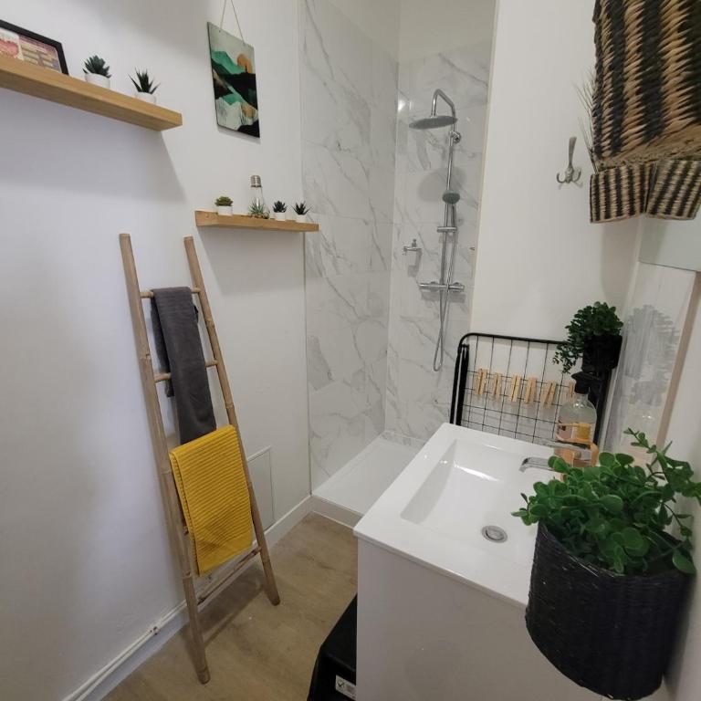 Le plein centre rez de chaussee au cœur de Calais - Appartement 2 Chambres - 47