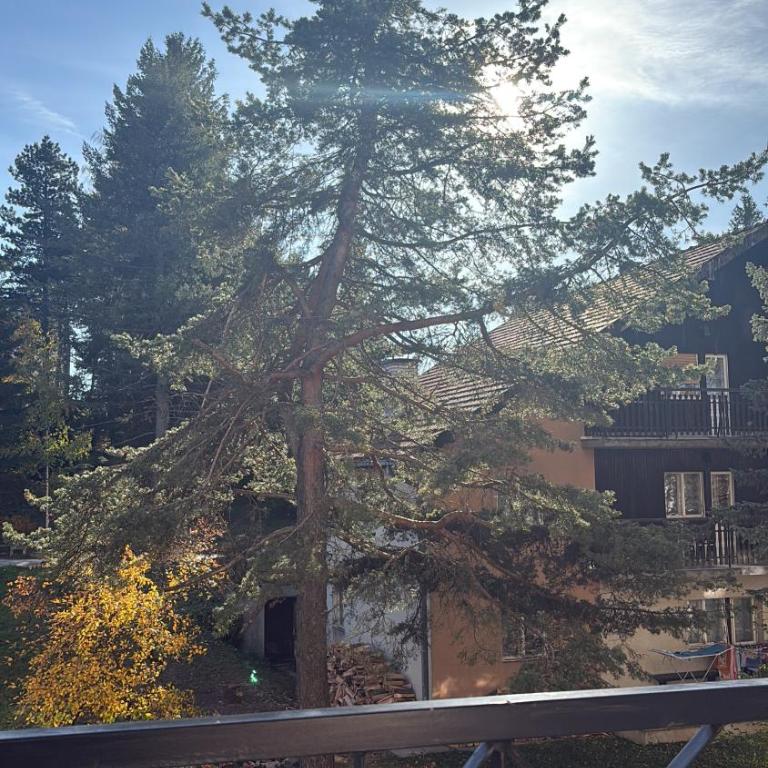 Magnet Lux Zlatibor - One-Bedroom Apartment - 10