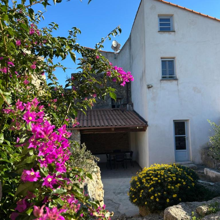 Casa Vacanze Arma delle Manie - Apartment - 10