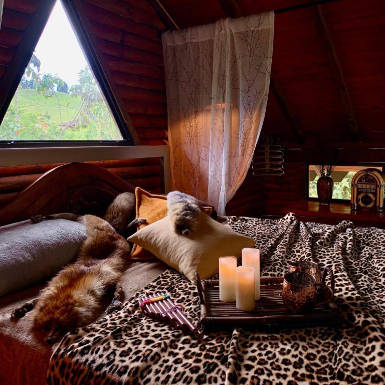 Cabaña de lujo con silla montura, Caballo Dorado - Chalet de 1 dormitorio - 2