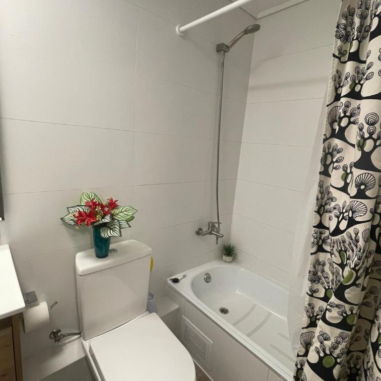 Acogedor departamento centro de Santiago - One-Bedroom Apartment - 2