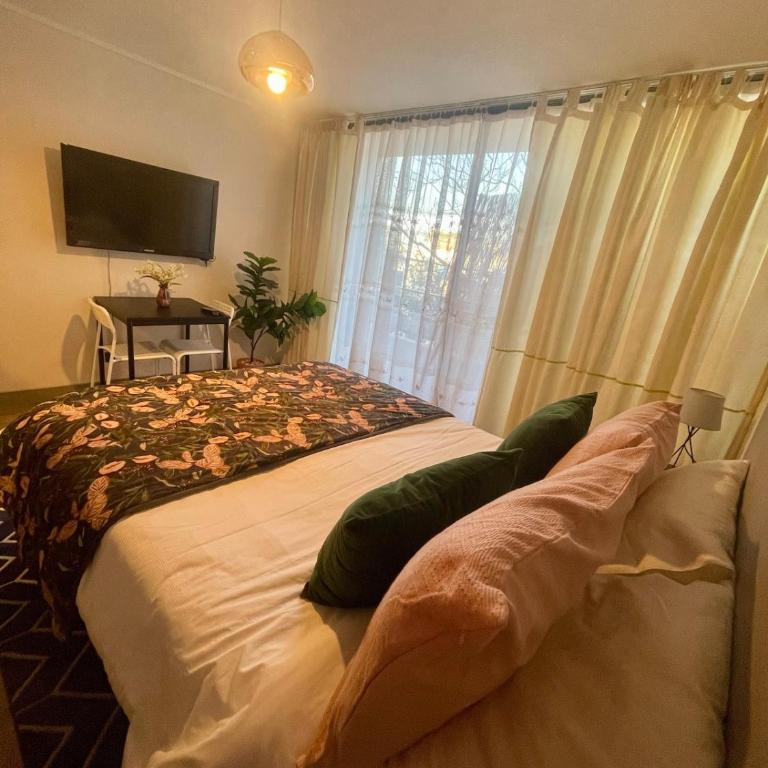 Acogedor departamento centro de Santiago - One-Bedroom Apartment - 12