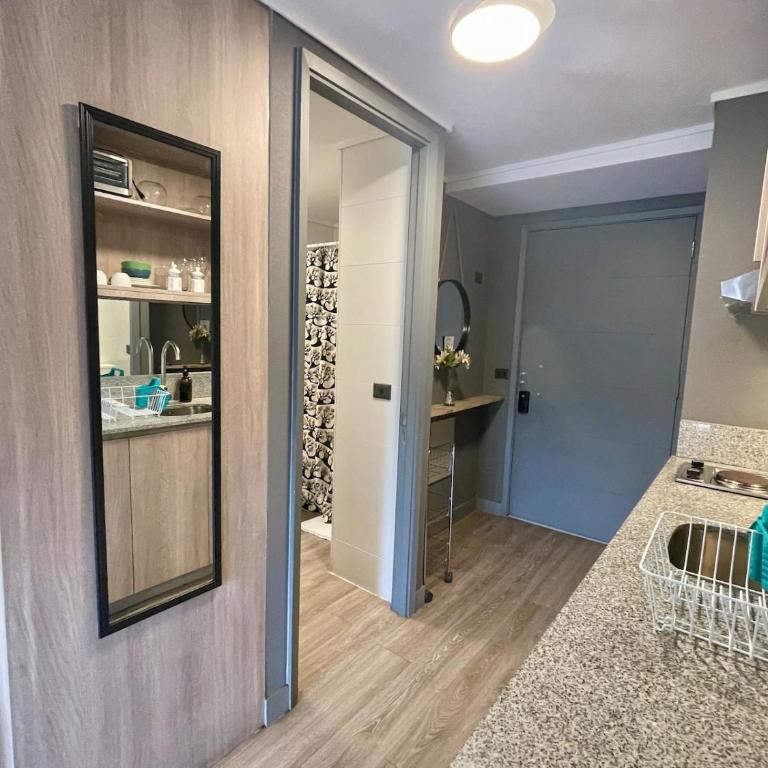 Acogedor departamento centro de Santiago - One-Bedroom Apartment - 17