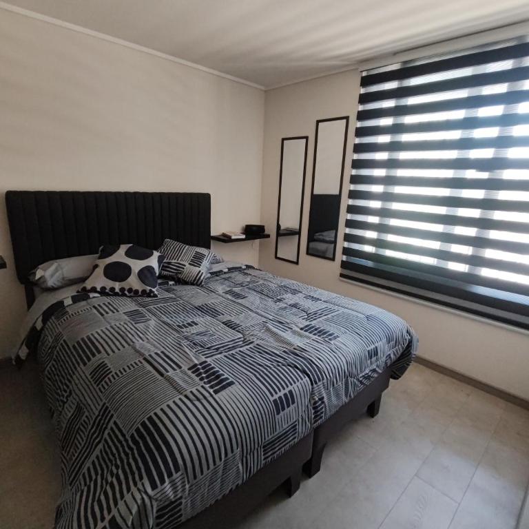 Suite urbana - One-Bedroom Apartment - 10