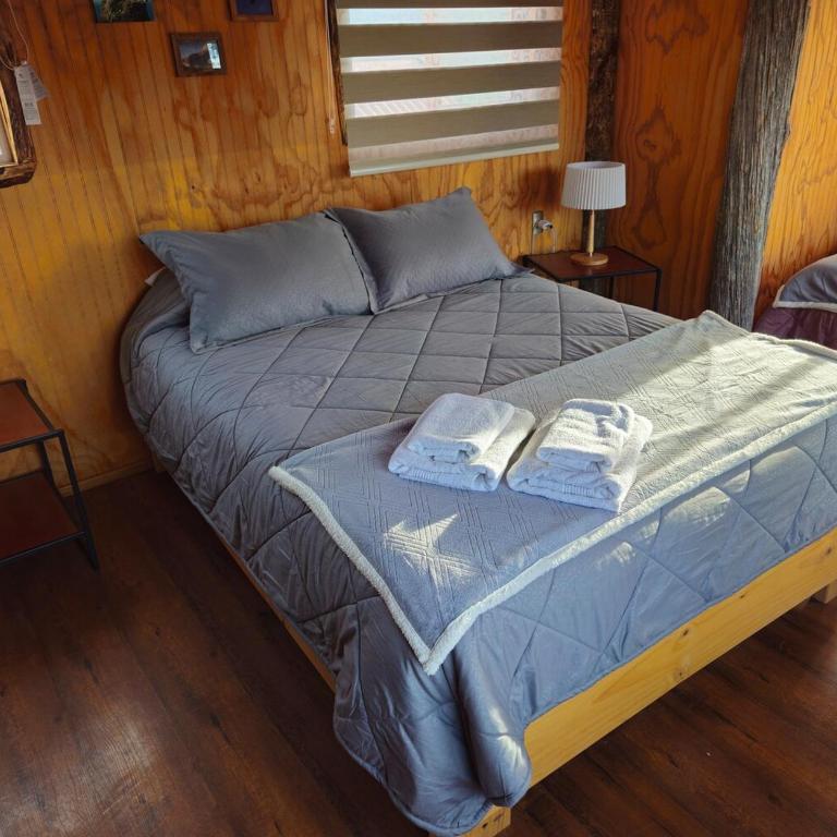 Casa Los Leones in Villa O'Higgins - One-Bedroom House - 7