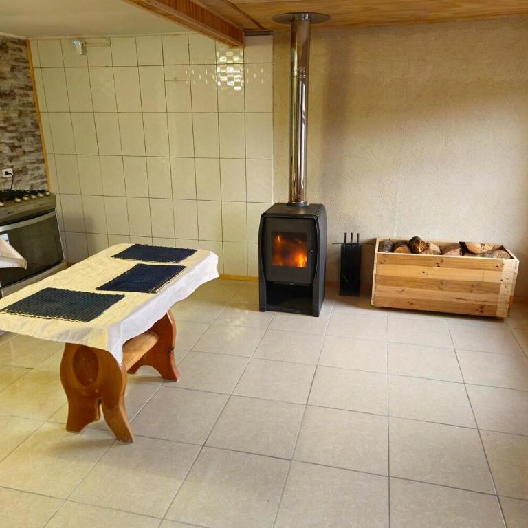 Casa Los Leones in Villa O'Higgins - One-Bedroom House - 9