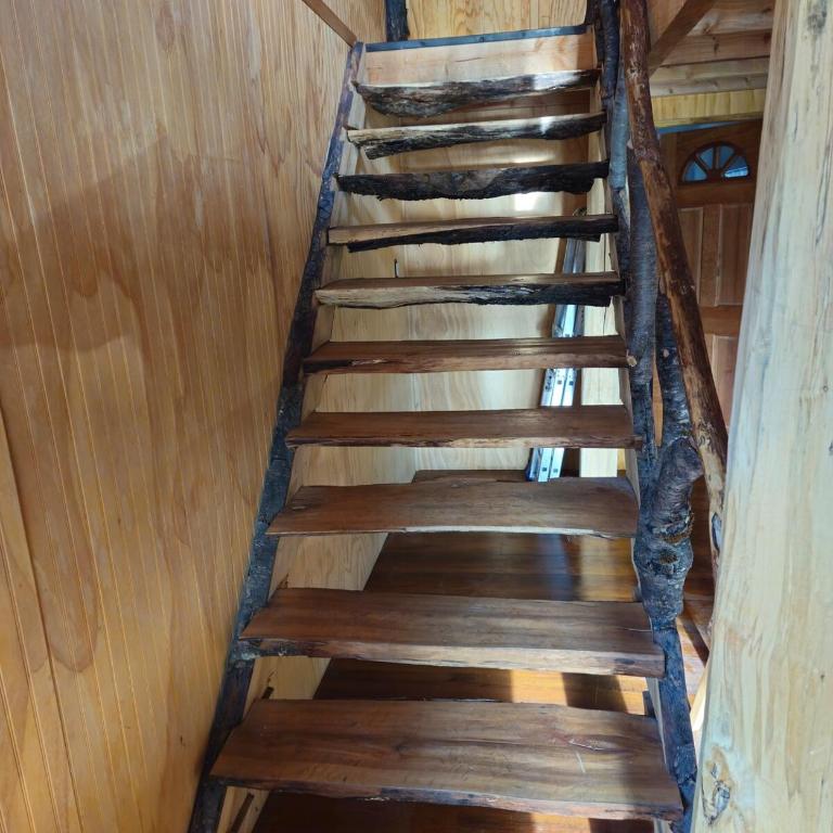 Casa Los Leones in Villa O'Higgins - One-Bedroom House - 23