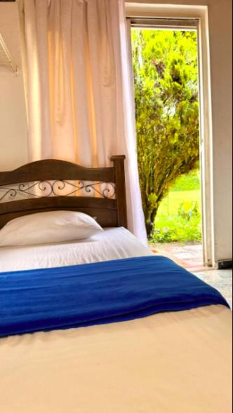 Anda Lucía - Casa con 1 dormitorio - 17
