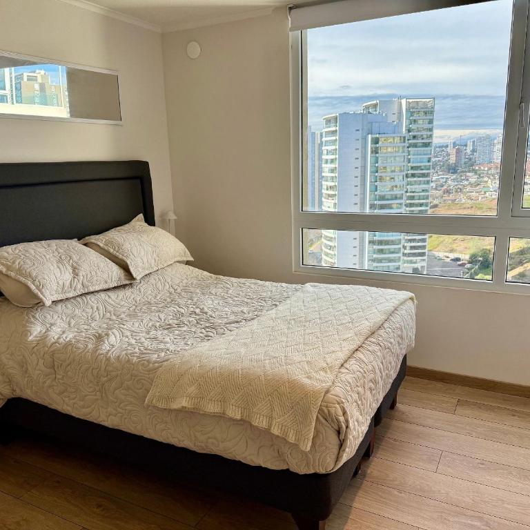 New and comfortable in Costa de Montemar - Apartment - 4
