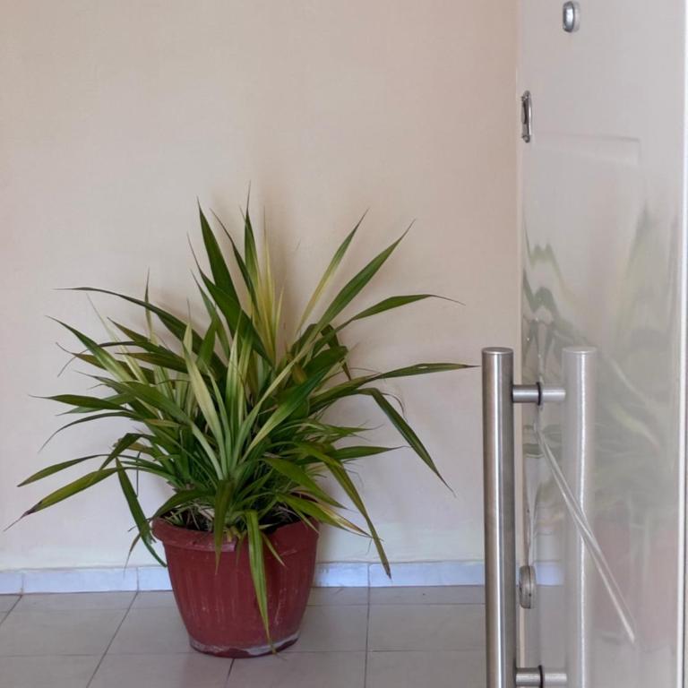 El Cerro - Apartamento de 1 dormitorio - 3