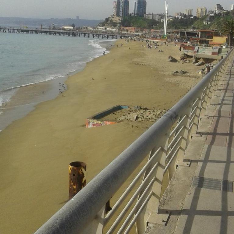 Caleta Portales - One-Bedroom Apartment - 11