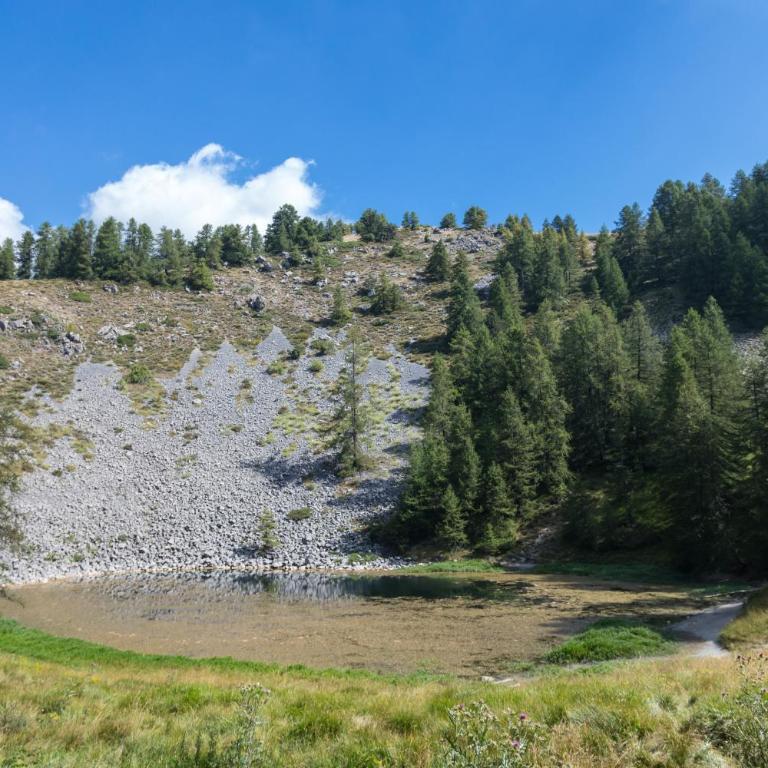 Valberg 2000 - Le Plaza - Appartement 1 Chambre (5 Adultes) - 35