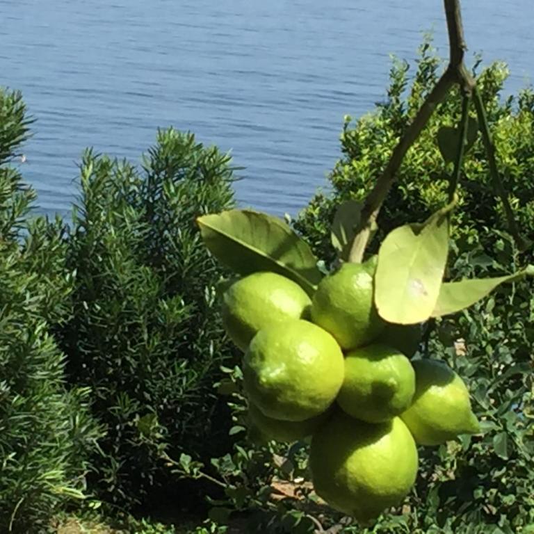 Villa Buonasera - Casa Vacanze - 24