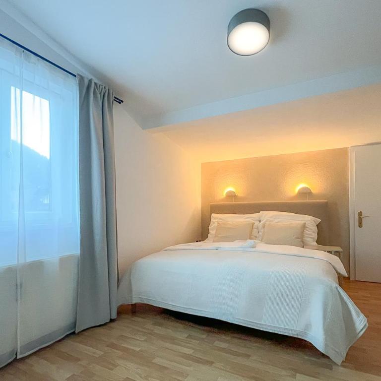 Brunnalm Blick Apartment - Apartment mit 1 Schlafzimmer - 12