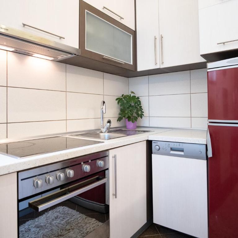 City Apartments Premium - Apartman s 1 Spavaćom Sobom i Vrtom - 5