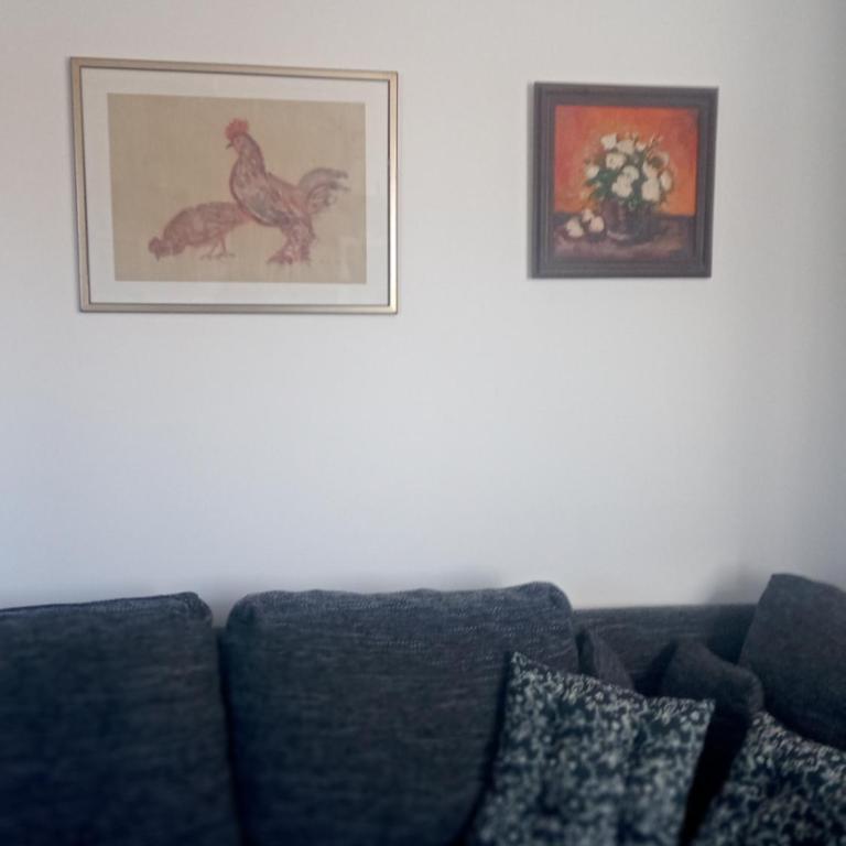 Studio SimpaKop - Standard Studio - 16