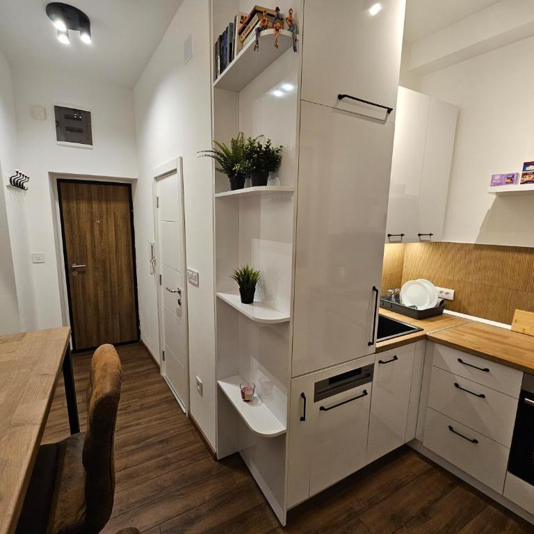 Studio 1920 - One-Bedroom Apartment - 1