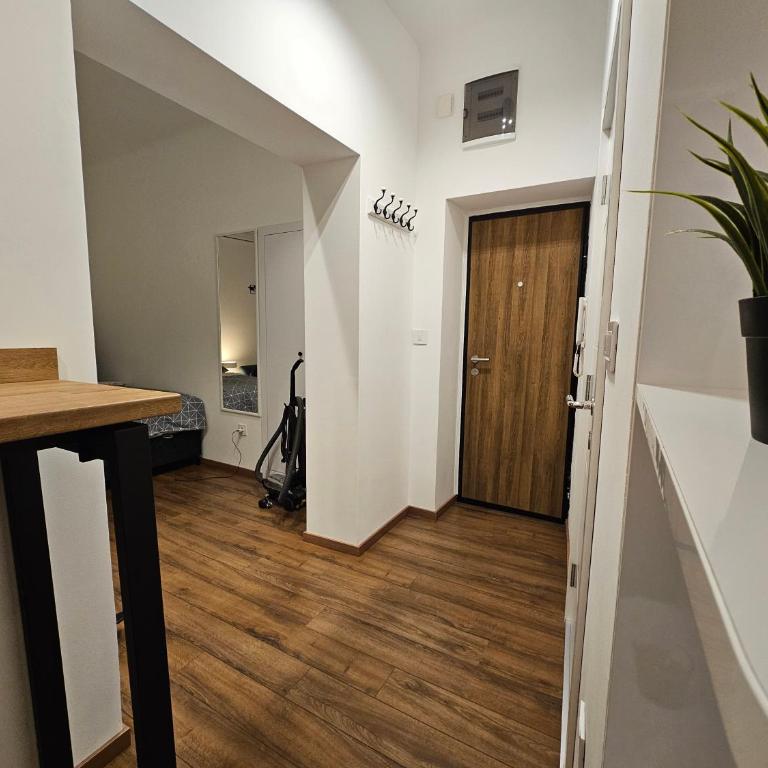 Studio 1920 - One-Bedroom Apartment - 5