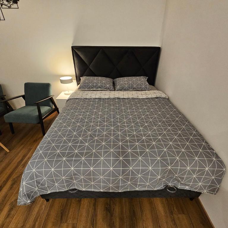 Studio 1920 - One-Bedroom Apartment - 15