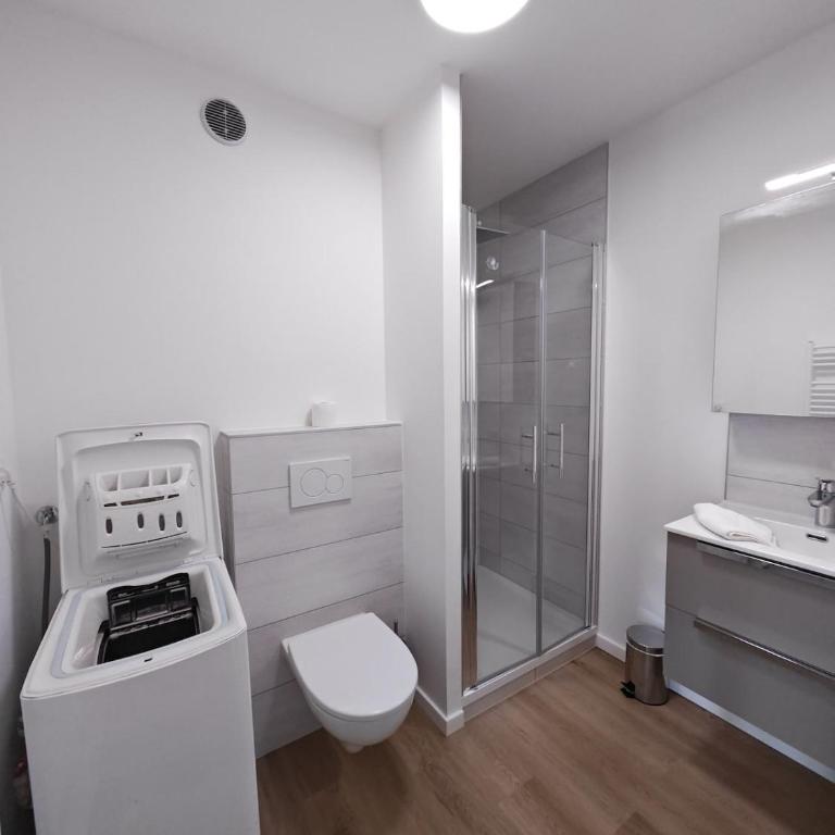 Le petit Central du Leman Studio,centre-ville Confort et Luminosité - Studio Lit King-Size avec Canapé-Lit - 13