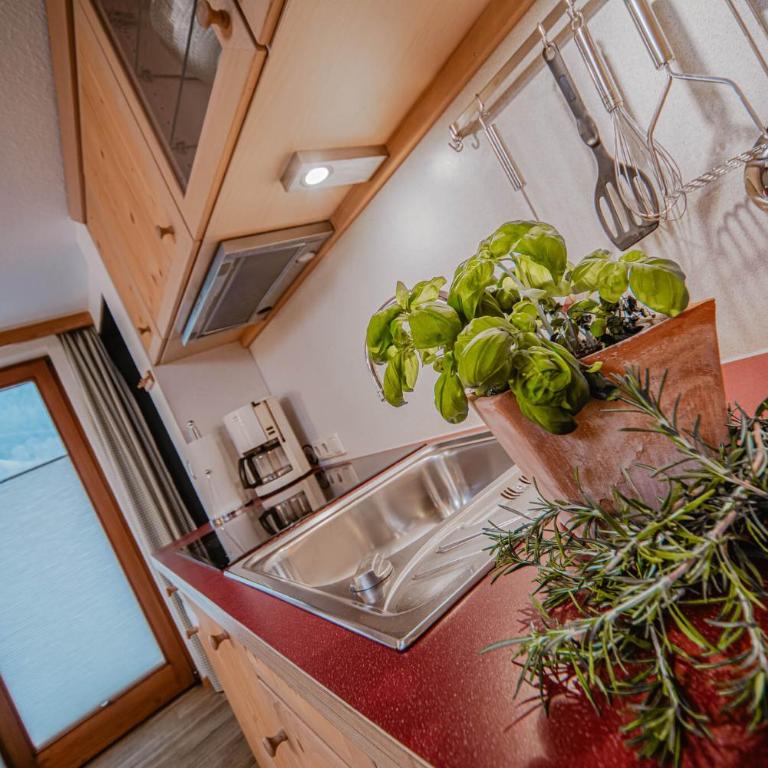 Haus Rosenbächle - Apartment mit 1 Schlafzimmer und Balkon - 6