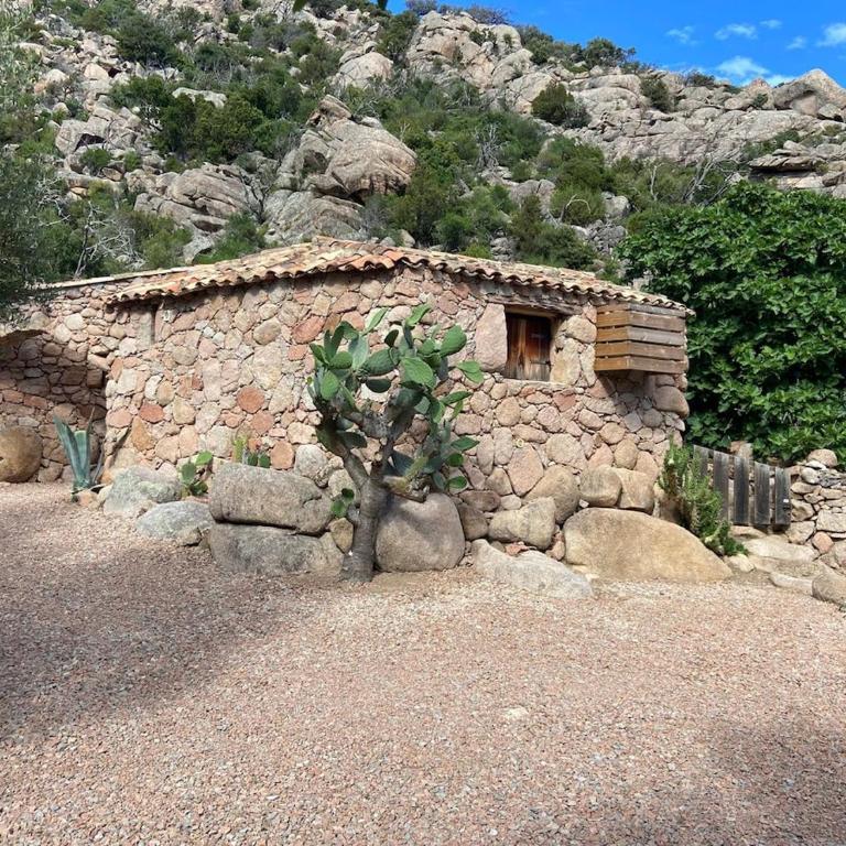 Bergerie Stazziola charme authentique Palombaggia - Villa de 3 dormitorios - 10