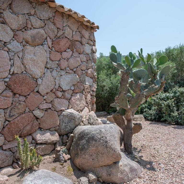 Bergerie Stazziola charme authentique Palombaggia - Villa de 3 dormitorios - 40